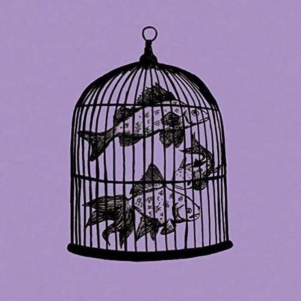 WSBU Artist Interview with Fish in a Birdcage