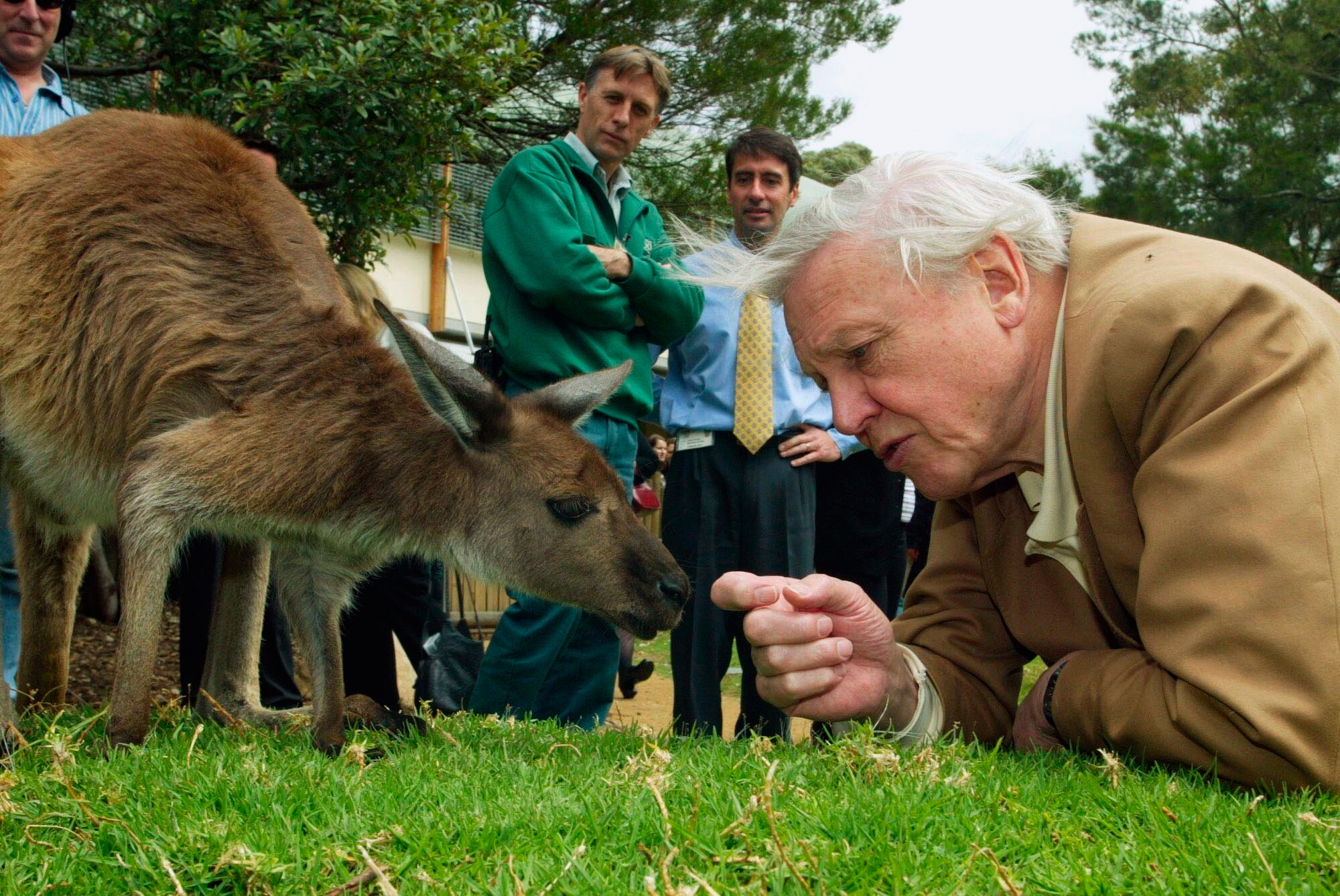 David Attenborough, the excited but hushed voice of nature programs, turns 100